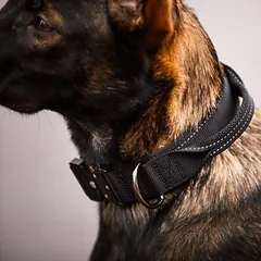 Rukka antkaklis Mission, juodas, Vidutiniams 11–25 kg — 2 nuotrauka
