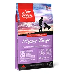 Orijen Puppy Large Breed sausas maistas didelių veislių šuniukams 11,4 kg