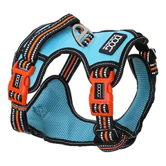 DOOG Neotech Geschirr Beethoven aqua/orange