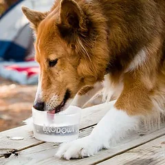 Mobowl - Foldable Bowl, Mobowl - Foldable Bowl 600 ml, Ø 12 cm — 3 nuotrauka