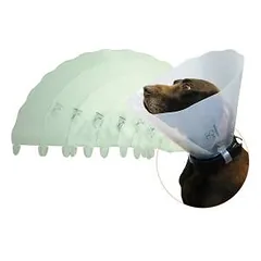 Genia Greencol apsauginė apykaklė, gaubtas gijimui, 15 cm