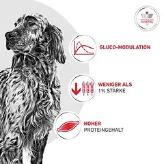 Royal Canin Veterinary Canine Glycobalance Mousse drėgnas maistas šunims, 400 - 499 g — 3 nuotrauka
