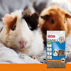 beaphar Care+ pašaras jūrų kiaulytėms, Ekonominė pakuotė: 2 x 5 kg — 3 nuotrauka