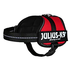 Šunų petnešos Julius-K9, juodos, 51–67 cm, S-M — 2 nuotrauka