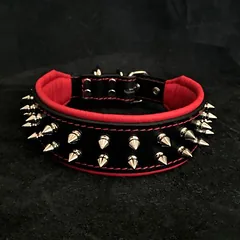 Bestia Hundehalsband Frenchie