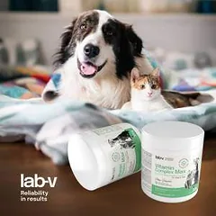 Lab-V Vitamin Complex Max vitaminų kompleksas šunims ir katėms, 300 g — 2 nuotrauka