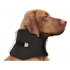 FurryFusion Genesungshalsband für Hunde