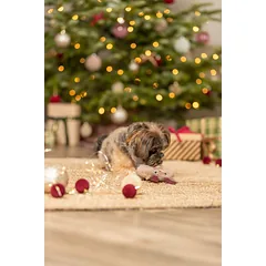 TRX_927158 TRIXIE Xmas Spurga-briedis, pliušas, 14 cm, su garsu (pak.3) — 3 nuotrauka