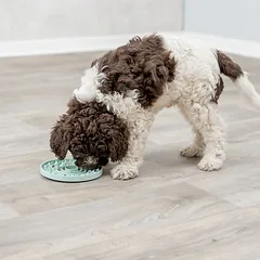 Trixie Junior Lick'n'Snack laižymo kilimėlis, apie Ø 15 cm — 2 nuotrauka