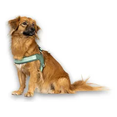 Max&Molly Q - Fit Harness Matrix 2.0 Jade - lengvi šunų pakinktai, su QR identifikatoriumi, Miętowe / XL — 2 nuotrauka