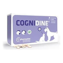 Cognidine N60 – pašaro papildas aprūpina maisto medžiagomis, kurios gali padėti užtikrinti sveiką nervų sistemą. — 2 nuotrauka