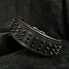Bestia Hundehalsband Schwarzer Riese