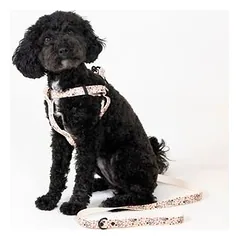 WARNER BROS Harry Potter petnešos Mirties relikvijos, smėlio spalvos, Vidutiniams 11–25 kg — 3 nuotrauka