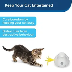 PetSafe® Peek-a-Bird elektroninis žaislas katėms, 1 vnt. — 5 nuotrauka