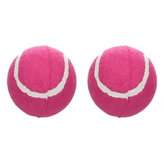 Flamingo žaislas šunims Smash, teniso kamuoliukas, rožinės spalvos, 2 vnt.