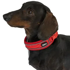 TIAKI Soft & Safe antkaklis, raudonas, Dydis XS: 25–35 cm kaklo apimtis, 40 mm pločio — 2 nuotrauka