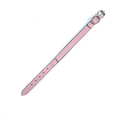 Šunų antkaklis