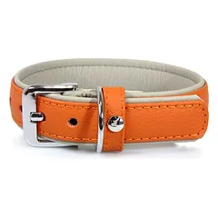 Das Lederband Hundehalsband Amsterdam orange/grey