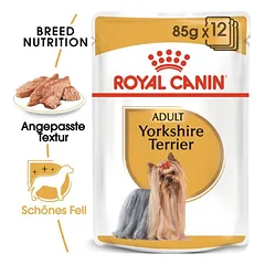 Nassfutter als Ergänzung zu Royal Canin Yorkshire Terrier Adult