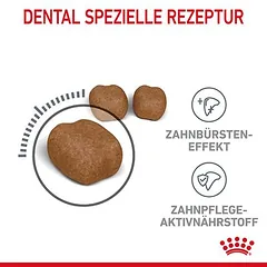 Royal Canin Dental Care sausas maistas katėms, < 1,4 kg — 5 nuotrauka