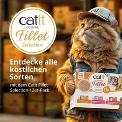 Catit Cuisine filė su vištiena, drėgnas maistas katėms — 5 nuotrauka