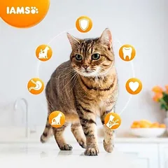 IAMS Cat Adult Indoor Chicken sausas maistas suaugusioms naminėms katėms su vištiena, 2 kg — 2 nuotrauka