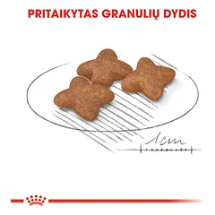 ROYAL CANIN SHN Mini adult sausas maistas suaugusiems šunims 2 kg — 4 nuotrauka