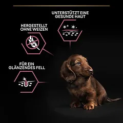 PURINA PRO PLAN Small & Mini Puppy Sensitive Skin sausas maistas šuniukams — 5 nuotrauka