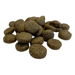 BIO FORM Dog Salmon CENNAMO sausas maistas šunims, 1 kg (sveriamas) — 2 nuotrauka
