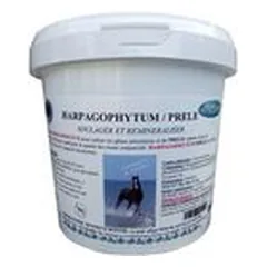 BONNE Harpagophytum + asiūklis papildas, 1 kg — 2 nuotrauka