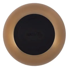 DISTRICT 70 ROYAL metalinis dubenėlis katėms 12 cm., aukso — 2 nuotrauka