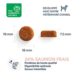 Marly & Dan sausas maistas dielių veislių suaugusiems šunims su lašiša - Adult Large Breed Salmon, 4 kg — 4 nuotrauka