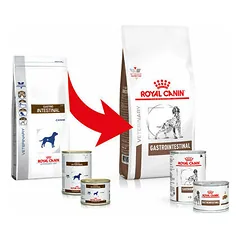 Royal Canin Vet VD Gastro Intestinal veterinarinis maistas šunims 2kg — 2 nuotrauka