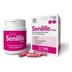 Innovet SENILIFE PLUS – Pašaro papildas padedantis palaikyti tinkamą vyresnio amžiaus šunų ir kačių smegenų veiklą