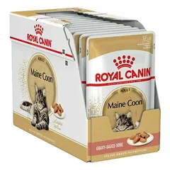 Royal Canin FBN Maine Coon drėgnas maistas katėms 12 x 85 g