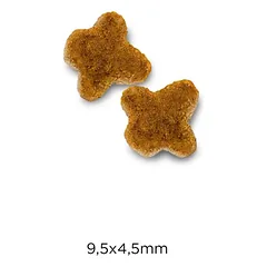 Optima Nova Cat Kitten Chicken & Rice sausa maistas kačiukams, nėščiosioms ir žindančioms katėms, 8 kg — 3 nuotrauka