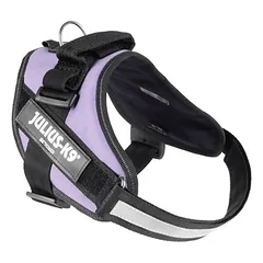 Julius-K9 IDC® Powerharness petnešos, violetinės, Labai mažiems < 4 kg — 3 nuotrauka