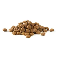 Purina ONE Urinary Care su vištiena, sausas maistas katėms — 2 nuotrauka