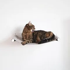 LucyBalu Katzenhängematte SWING