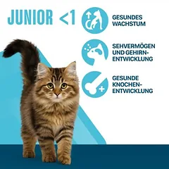 Perfect Fit Junior <1 - Reich an Huhn
