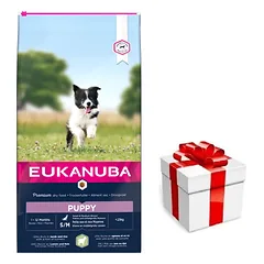 EUKANUBA Puppy&Junior Small/Medium Lamb&Rice 12kg + STAIGMENA ŠUNIUI