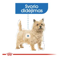 ROYAL CANIN CCN Light weight care konservai šunims turintiems viršsvorio 12x85 g — 2 nuotrauka
