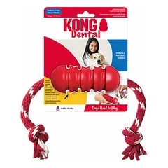 KONG DENTAL - Medium - dog toy