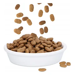 Keraminis dubenėlis katėms 0,25 l, plokščias, baltas — 2 nuotrauka