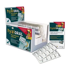 Hyaloral papildas šunims, mažų ir vidutinių veislių, Labai mažiems < 4 kg — 2 nuotrauka