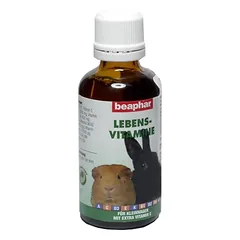 Graužikų vitaminai