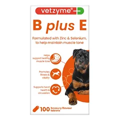 VETZYME B+E pašaro papildas šunims N100 — 2 nuotrauka