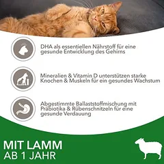 IAMS Advanced Nutrition Adult Cat su ėriena, sausas maistas katėms, Ekonominė pakuotė: 2 x 10 kg — 4 nuotrauka
