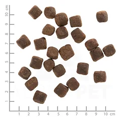 WOLFSBLUT Dark Forest Small Breed sausas maistas mažų veislių šunims su elniena ir batatais 2 kg — 2 nuotrauka