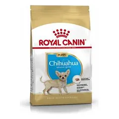 Royal Canin Chihuahua Puppy Junior sausas maistas čihuahua veislės šuniukams, 0,5 kg